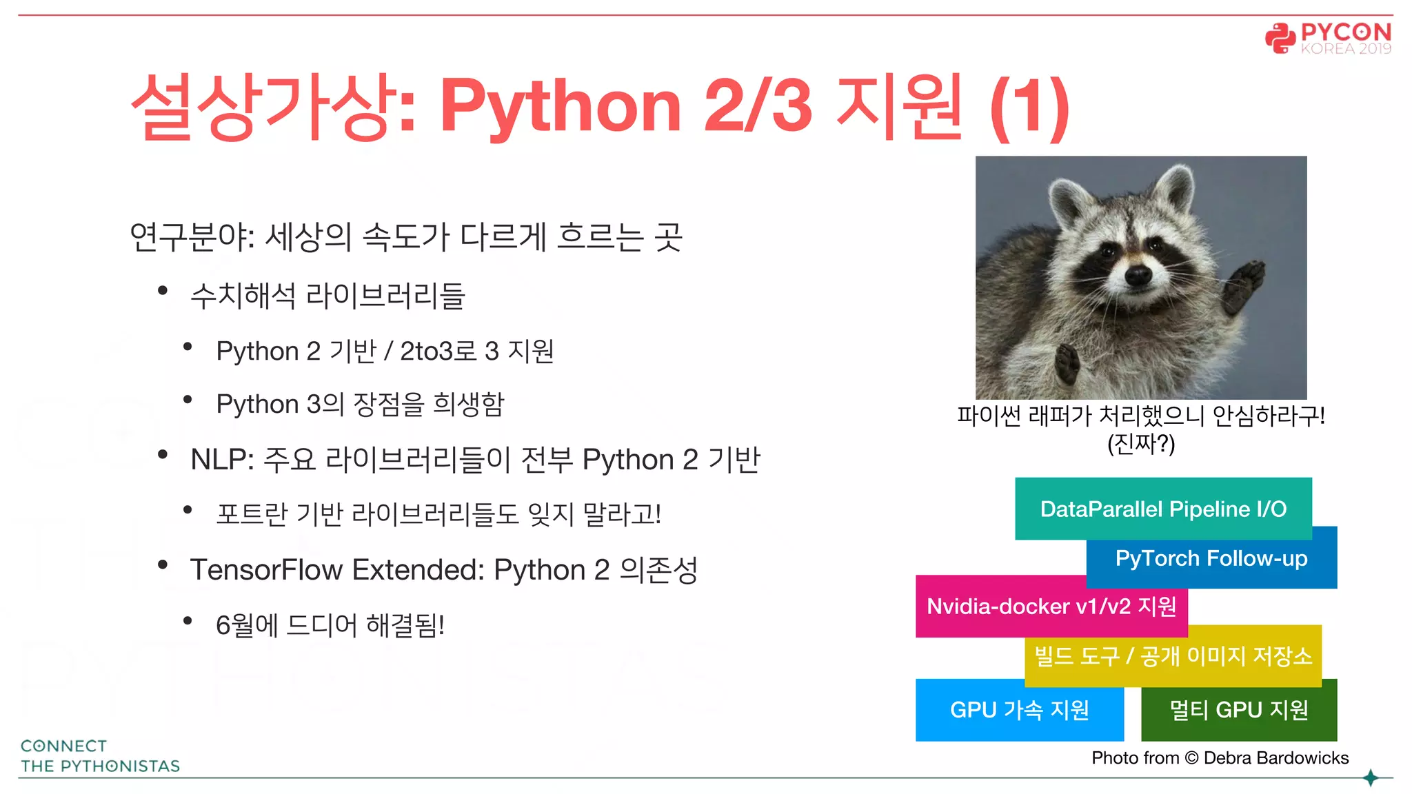 연구분야: 세상의 속도가 다르게 흐르는 곳
• 수치해석 라이브러리들
• Python 2 기반 / 2to3로 3 지원
• Python 3의 장점을 희생함
• NLP: 주요 라이브러리들이 전부 Python 2 기반
• 포트란 기반 라이브러리들도 잊지 말라고!
• TensorFlow Extended: Python 2 의존성
• 6월에 드디어 해결됨!
설상가상: Python 2/3 지원 (1)
GPU 가속 지원 멀티 GPU 지원
빌드 도구 / 공개 이미지 저장소
Nvidia-docker v1/v2 지원
PyTorch Follow-up
DataParallel Pipeline I/O
파이썬 래퍼가 처리했으니 안심하라구!
(진짜?)
Photo from © Debra Bardowicks
 