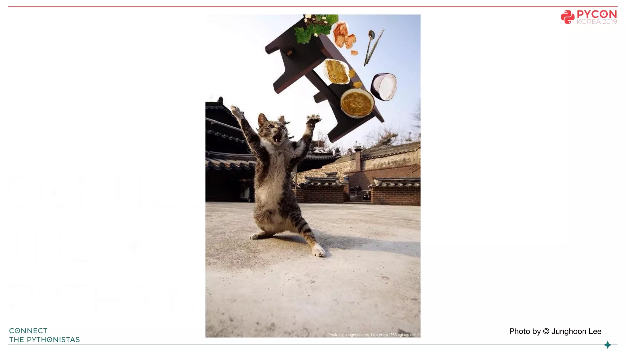 Photo by © Junghoon Lee
 