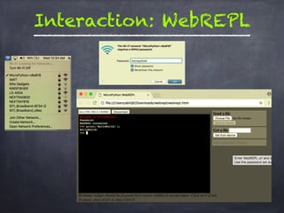 Interaction: WebREPL
 