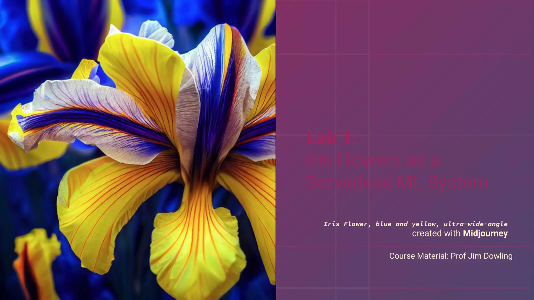 Iris Flower, blue and yellow, ultra-wide-angle
created with Midjourney
Course Material: Prof Jim Dowling
Lab 1:
Iris Flowers as a
Serverless ML System
 