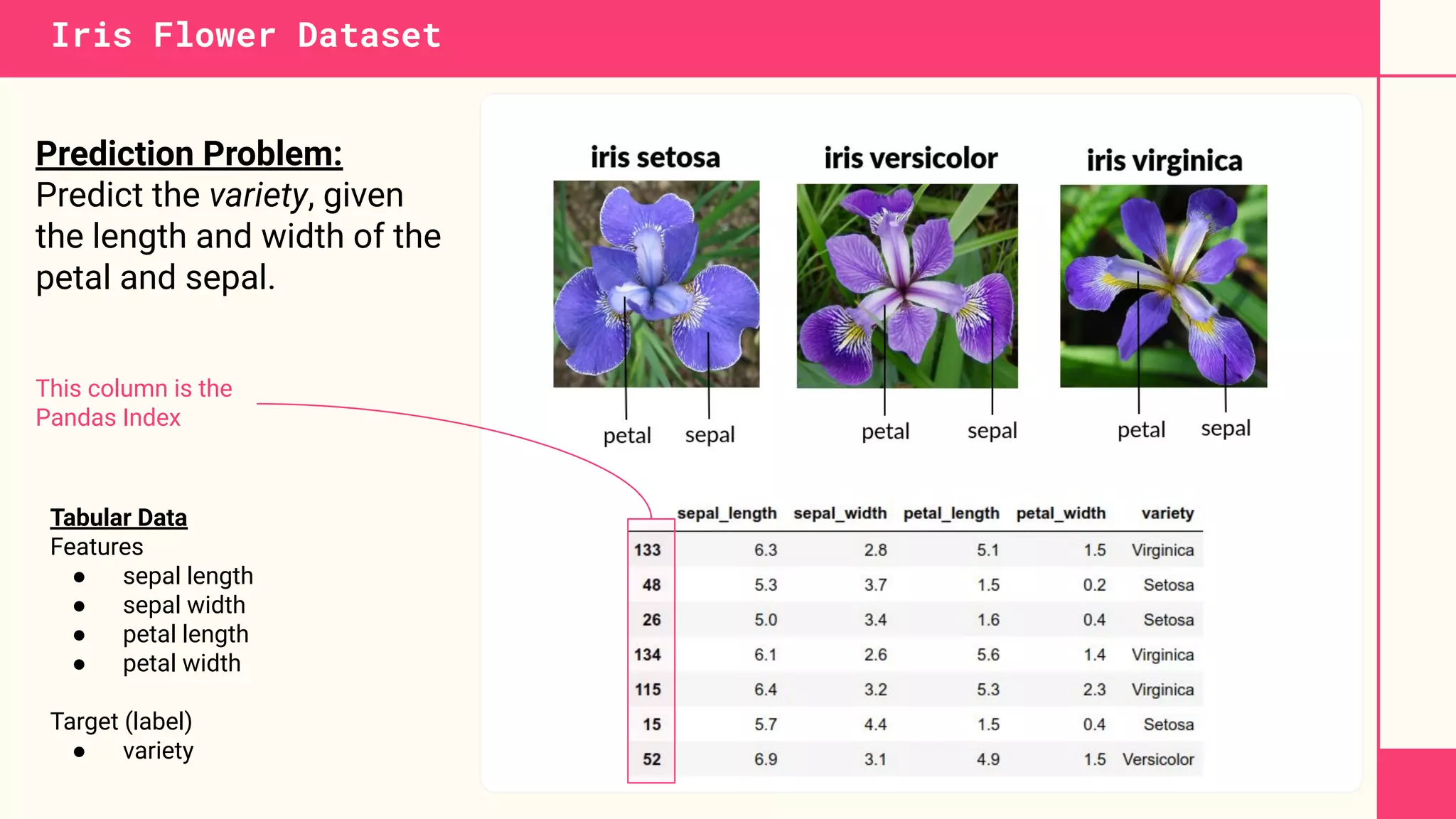Iris Flower Dataset
Tabular Data
Features
● sepal length
● sepal width
● petal length
● petal width
Target (label)
● variety
This column is the
Pandas Index
Prediction Problem:
Predict the variety, given
the length and width of the
petal and sepal.
 
