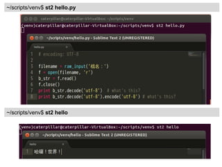 ~/scripts/venv$ st2 hello.py 
~/scripts/venv$ st2 hello  
