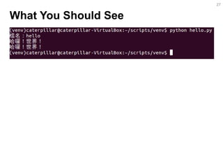 What You Should See 
27  