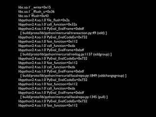 PyCon US 2009: Challenges and Opportunities for Python