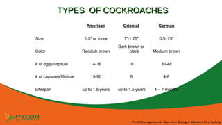 Pest Control Management: Roaches, Rodents and Flies | PPT