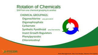 Pest Control Management: Roaches, Rodents and Flies | PPT