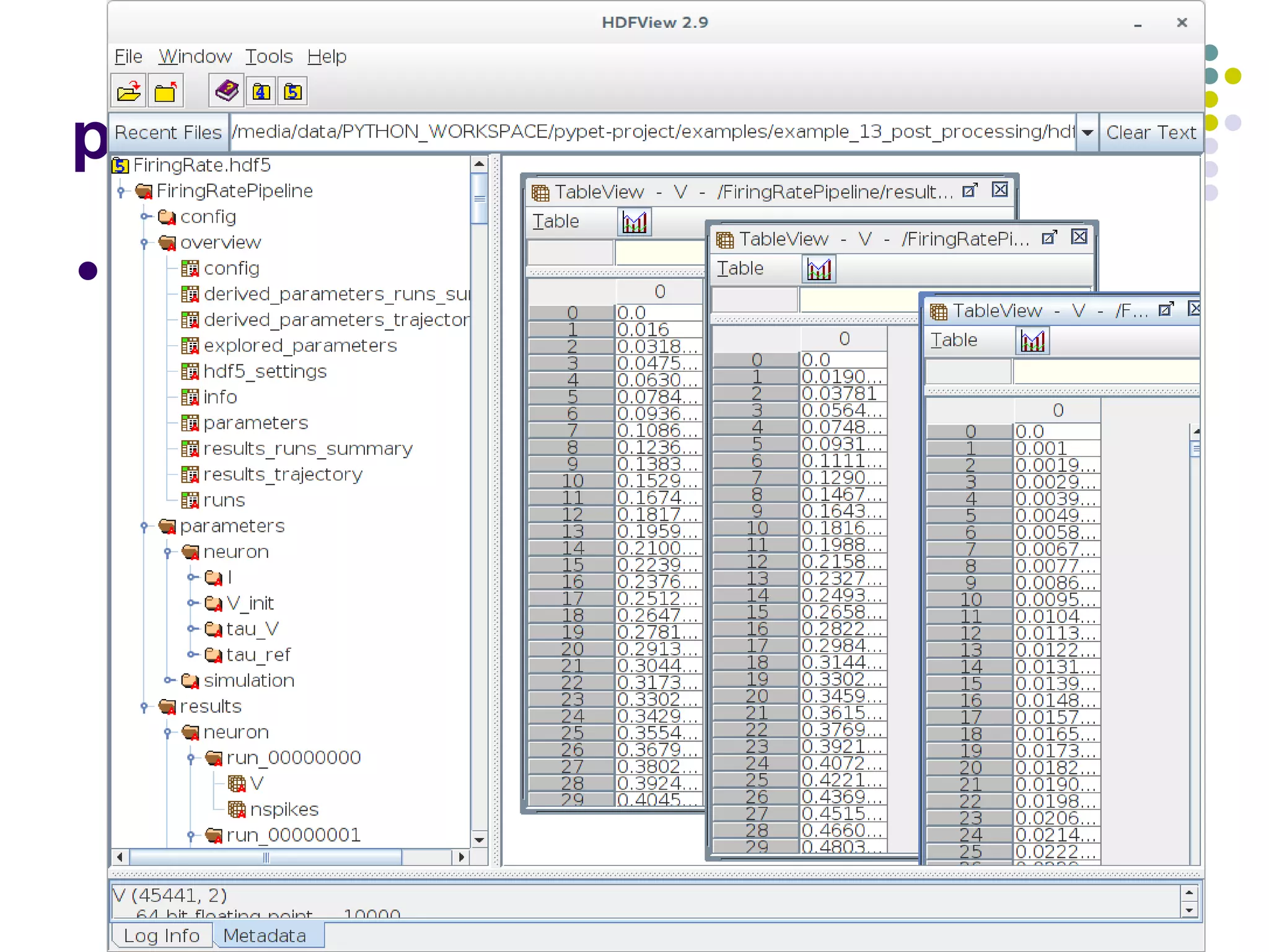 pypet
 Standing on the shoulder of giants
 HDF5_ (Hierarchical Data Format)
 Portable file format for managing and storing data
 You can browse within your data as in a regular file system
 
