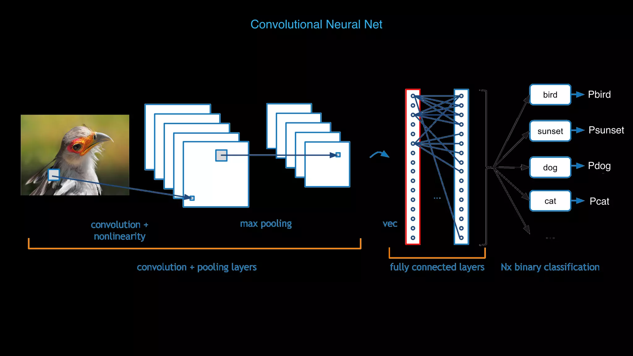 Convolutional Neural Net Pbird Psunset Pdog Pcat 