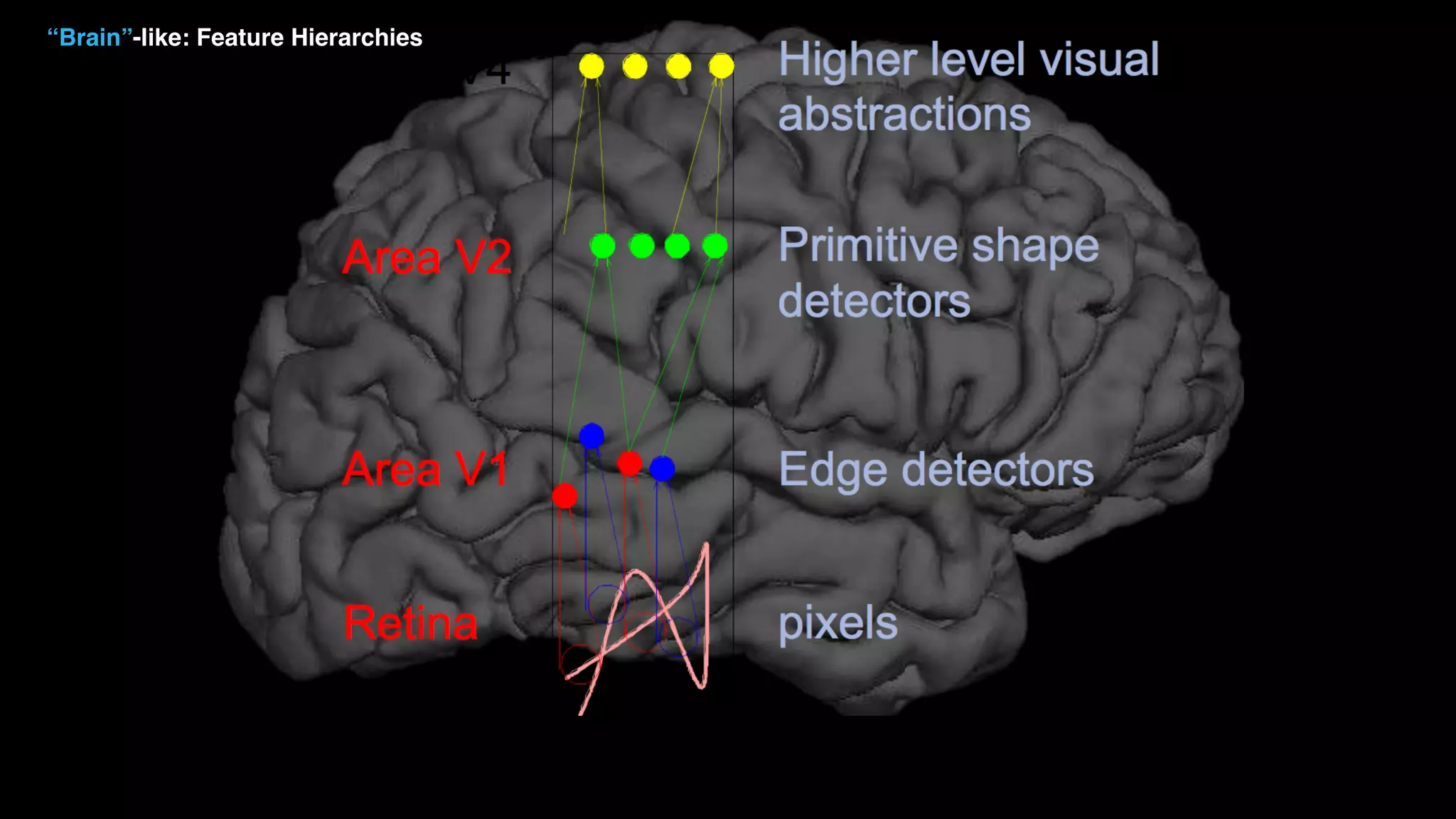 “Brain”-like: Feature Hierarchies 