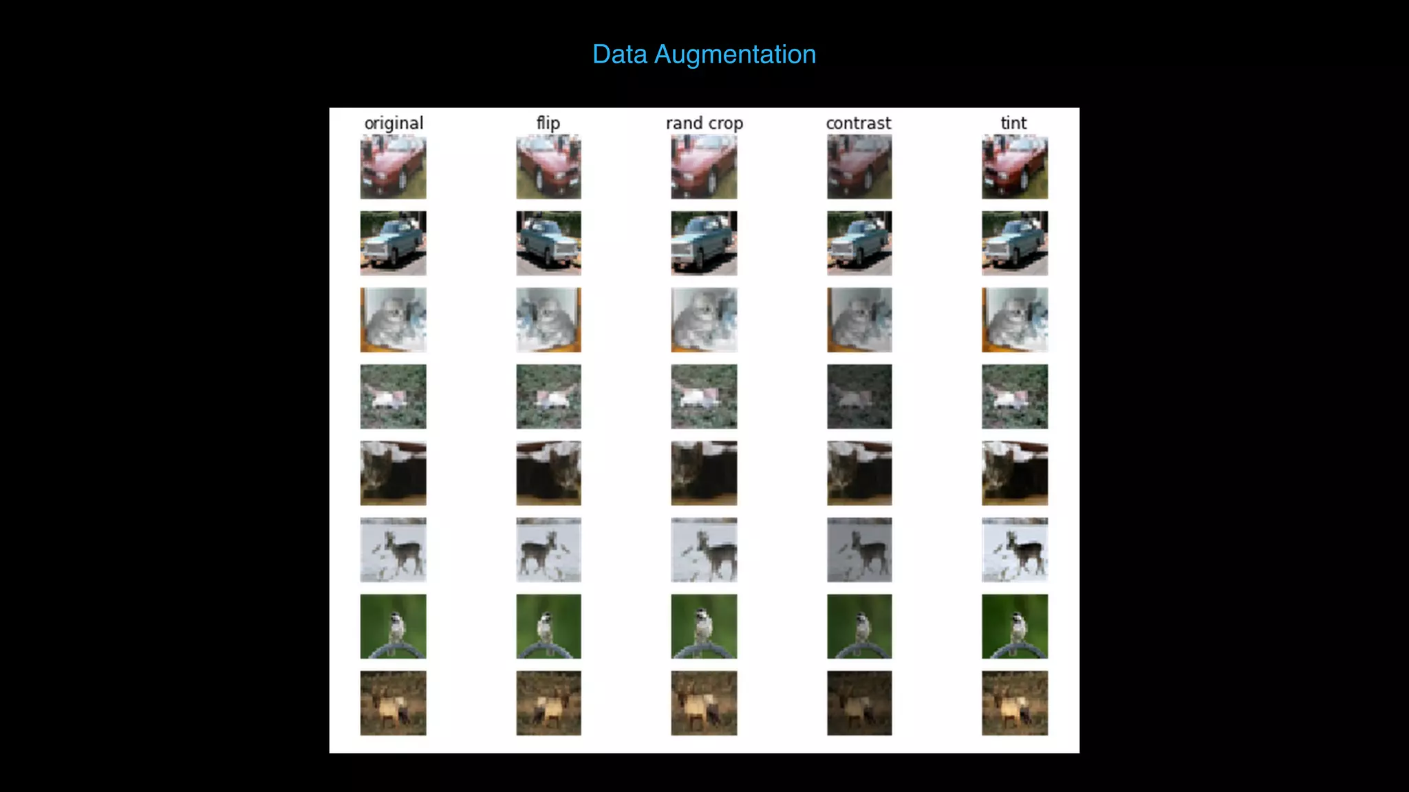 Data Augmentation 