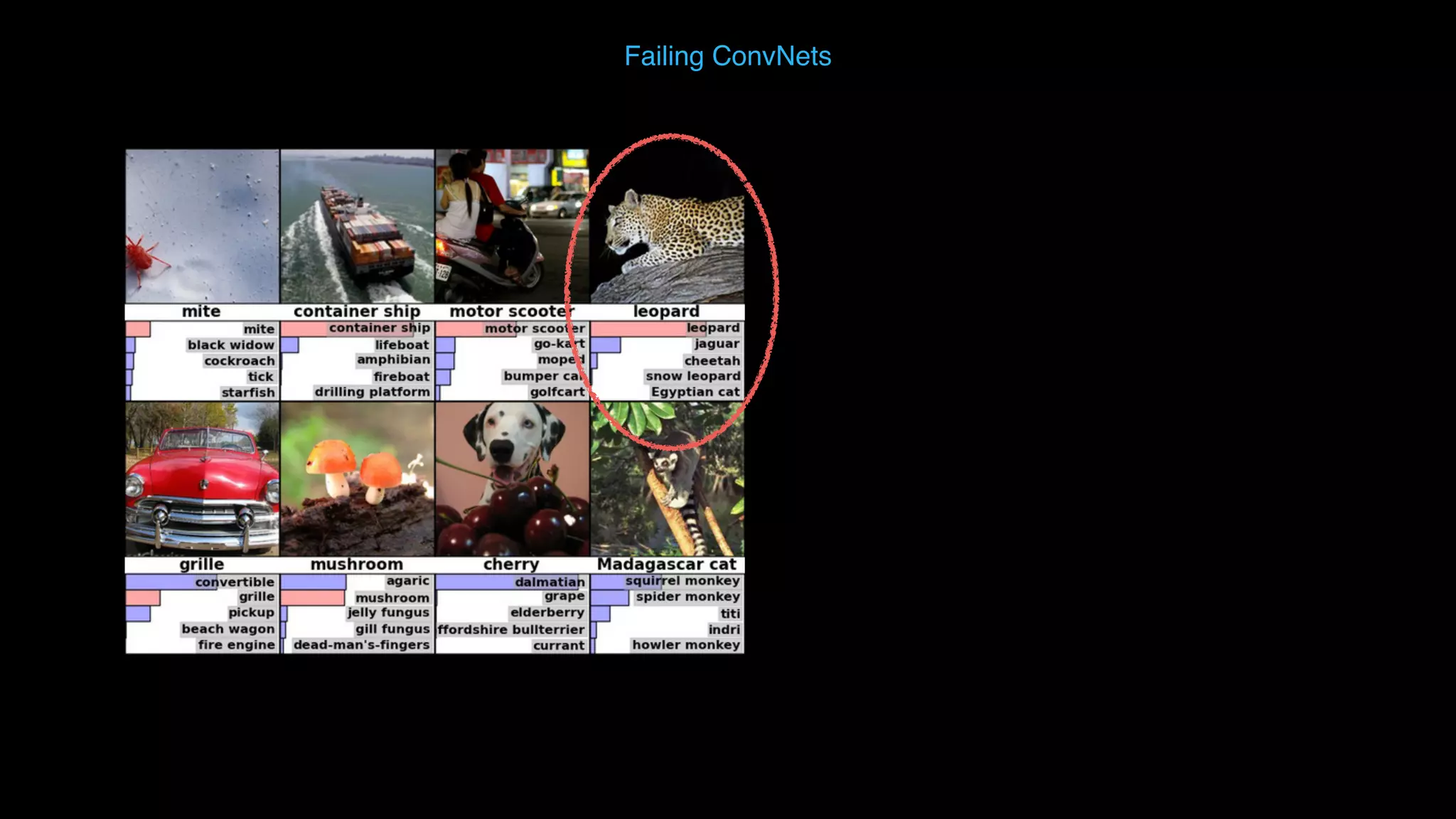 Failing ConvNets 