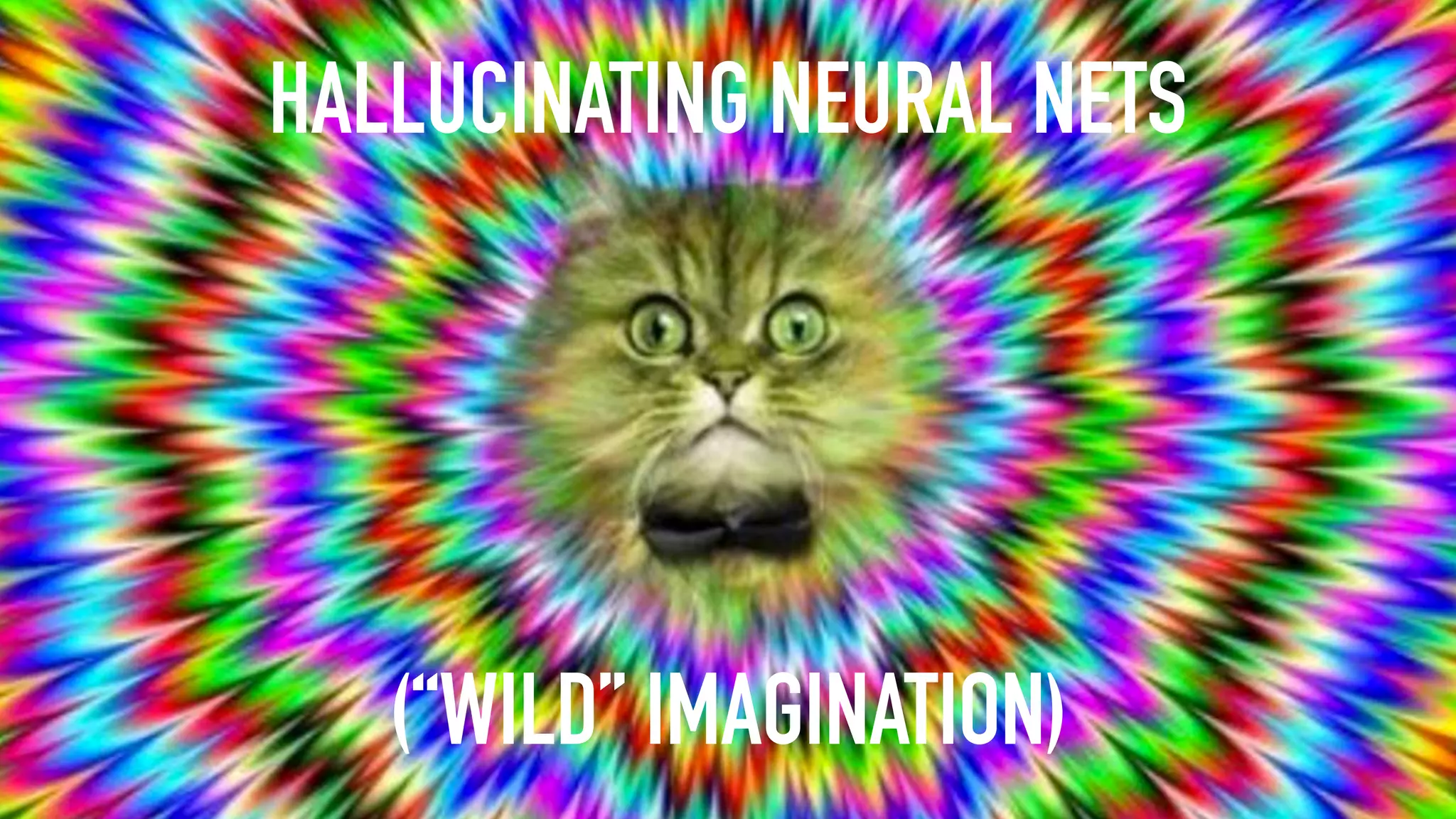 HALLUCINATING NEURAL NETS
(“WILD” IMAGINATION)
 