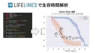 で生存時間解析
Kaplan-Meier 曲線
ショウジョウバエの遺伝子型と生存日数
累積生存率
Δ𝑥
Δ 𝑑 𝑥
𝑙 𝑥
傾き
1
Δ𝑥
Δ 𝑑 𝑥
𝑙 𝑥 Δ𝑥→0
𝜇 𝑥
(age 𝑥)64
 