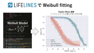 で Weibull fitting
Kaplan-Meier 曲線
ショウジョウバエの遺伝子型と生存日数
累積生存率
(age 𝑥)
Weibull Model
𝜇 𝑥 =
𝜌
𝜆
𝑥
𝜆
𝜌−1
66
 