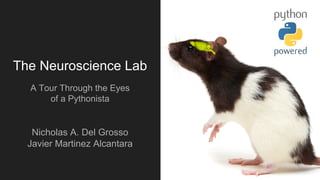The Neuroscience Lab
A Tour Through the Eyes
of a Pythonista
Nicholas A. Del Grosso
Javier Martinez Alcantara
 