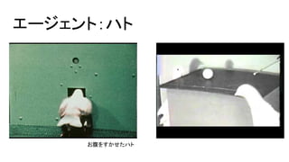 お腹をすかせたハト
エージェント：ハト
 