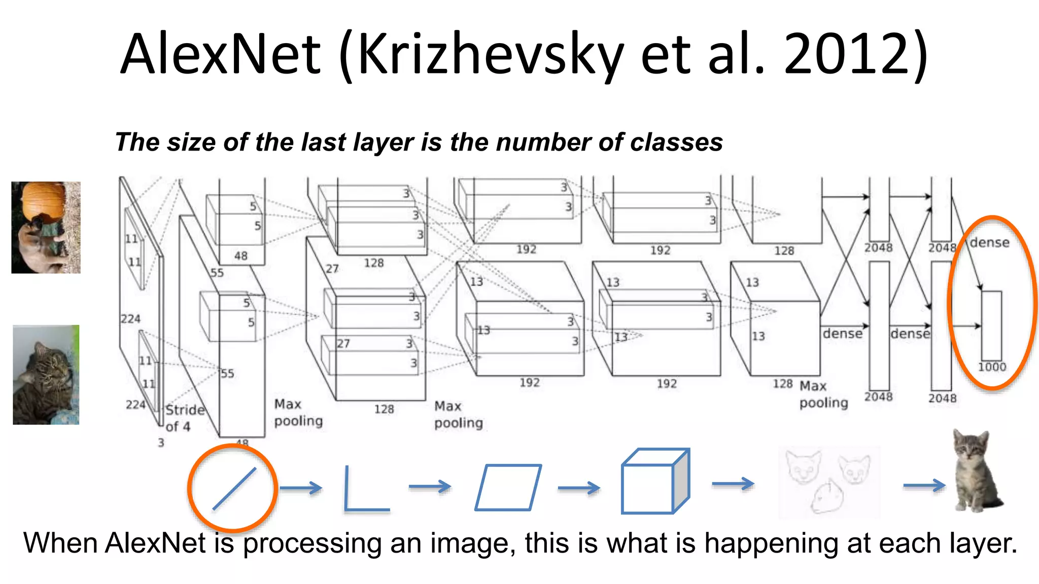 AlexNet (Krizhevsky et al. 2012)
When AlexNet is processing an image, this is what is happening at each layer.
The size of the last layer is the number of classes
 