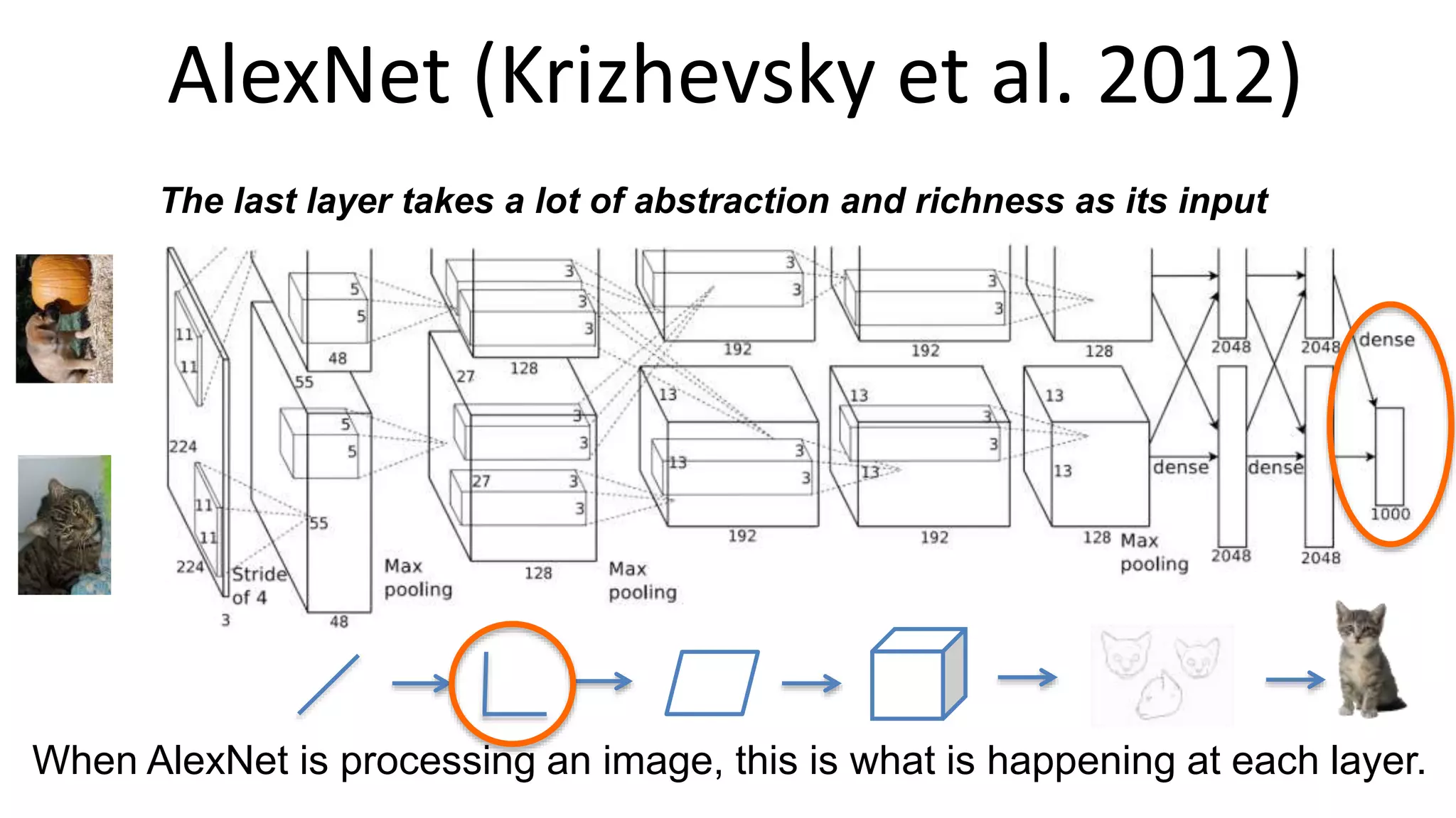 AlexNet (Krizhevsky et al. 2012)
When AlexNet is processing an image, this is what is happening at each layer.
The last layer takes a lot of abstraction and richness as its input
 