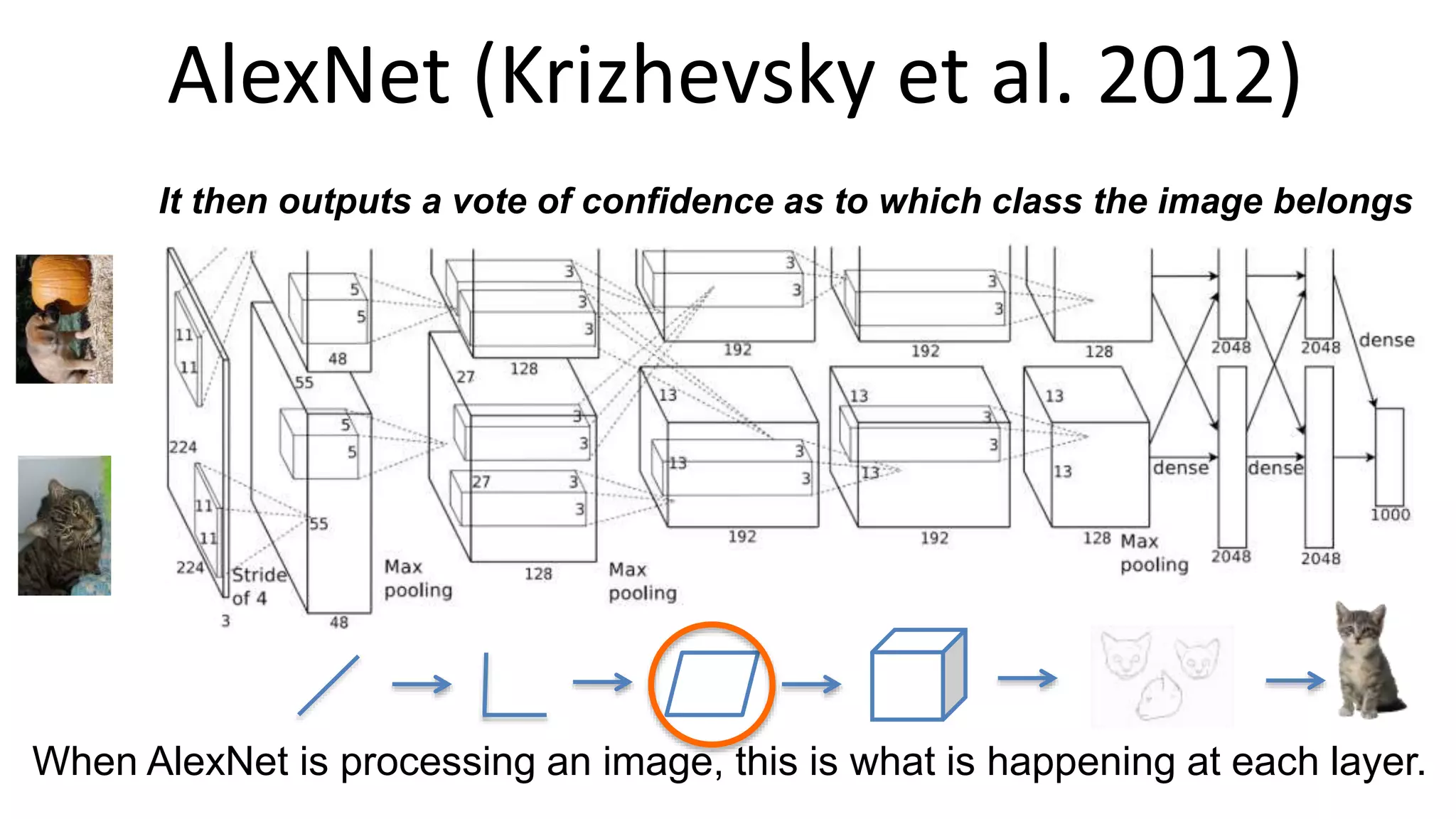 AlexNet (Krizhevsky et al. 2012)
When AlexNet is processing an image, this is what is happening at each layer.
It then outputs a vote of confidence as to which class the image belongs
 