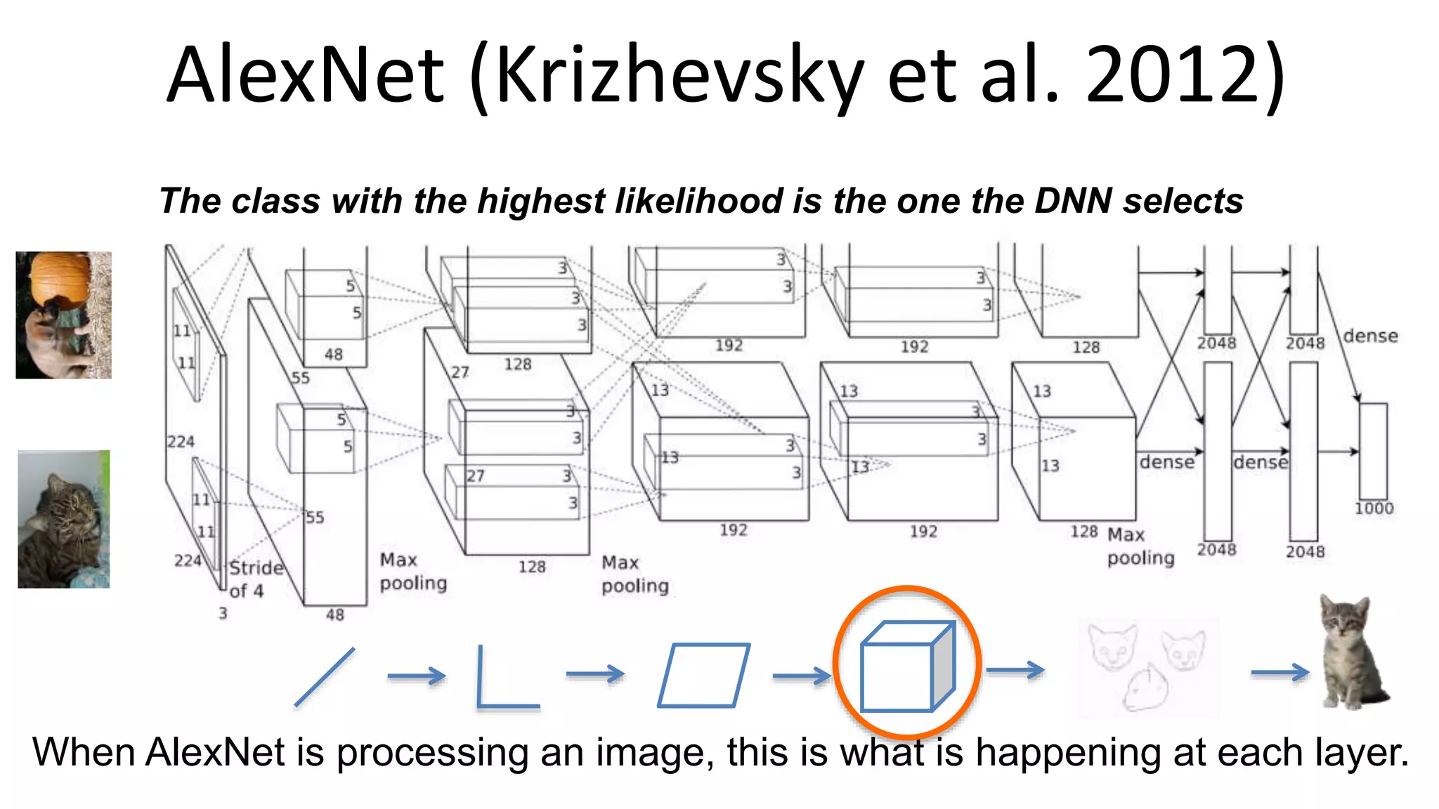 AlexNet (Krizhevsky et al. 2012)
When AlexNet is processing an image, this is what is happening at each layer.
The class with the highest likelihood is the one the DNN selects
 