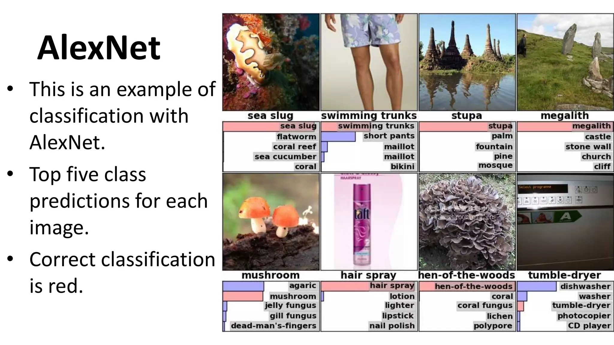 AlexNet
• This is an example of
classification with
AlexNet.
• Top five class
predictions for each
image.
• Correct classification
is red.
 