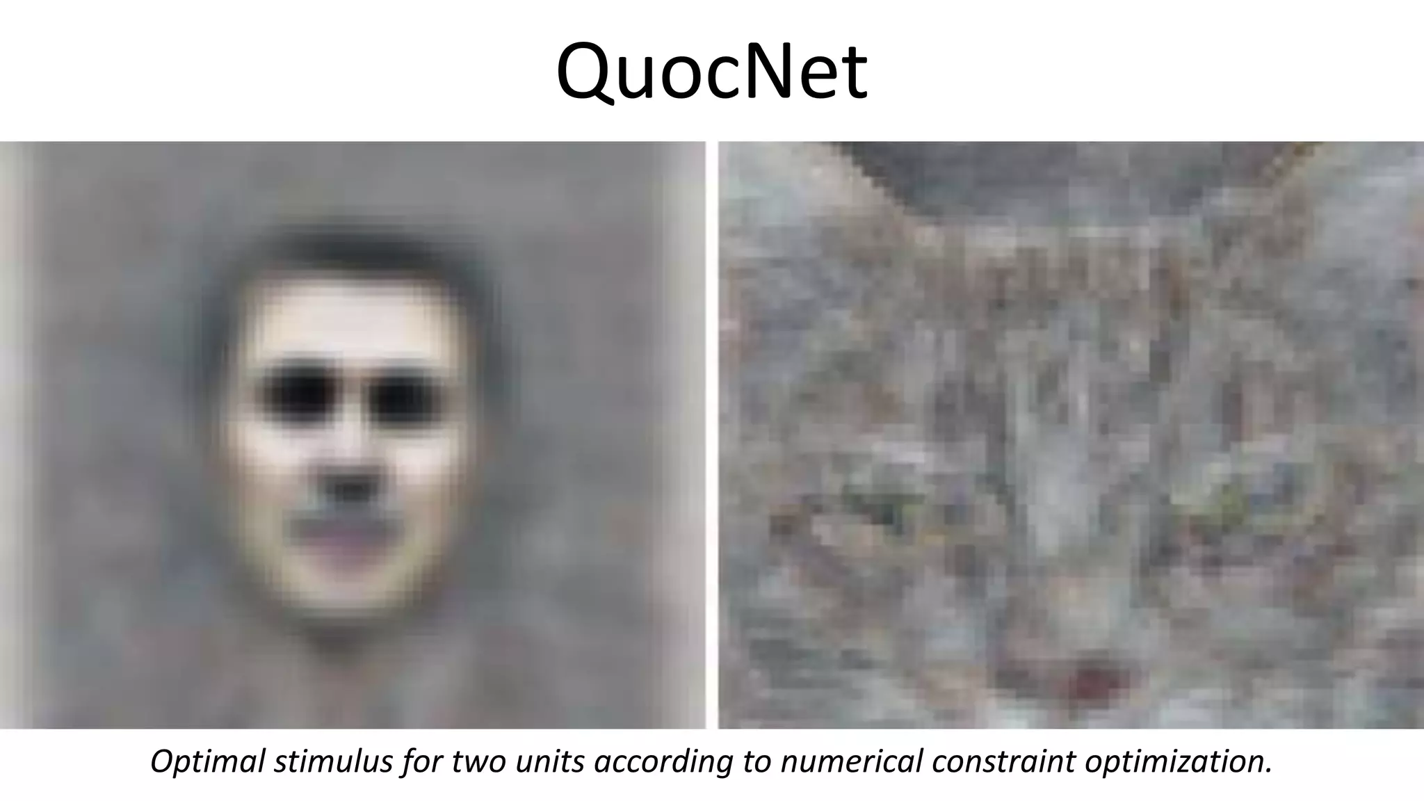 QuocNet
Optimal stimulus for two units according to numerical constraint optimization.
 