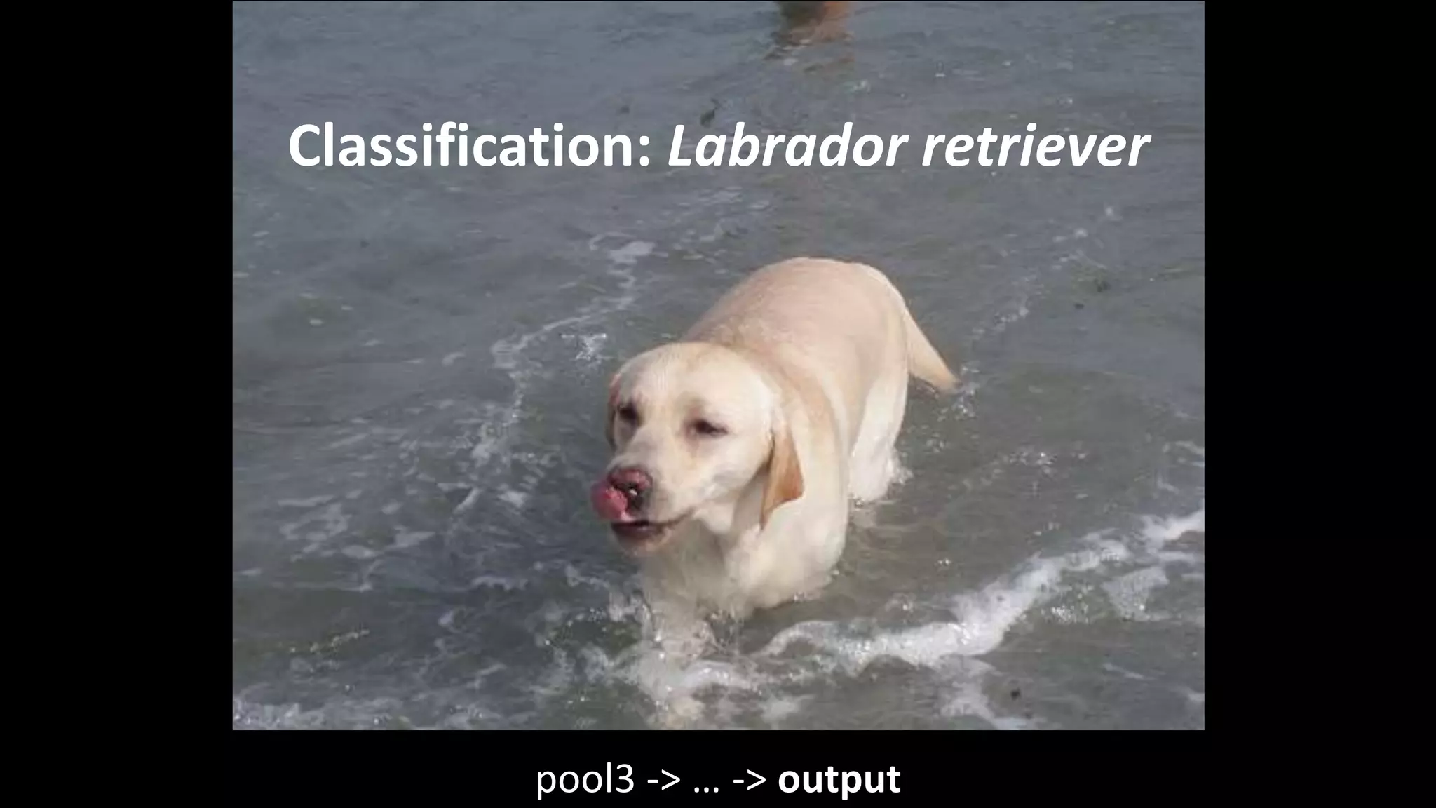pool3 -> … -> output
Classification: Labrador retriever
 