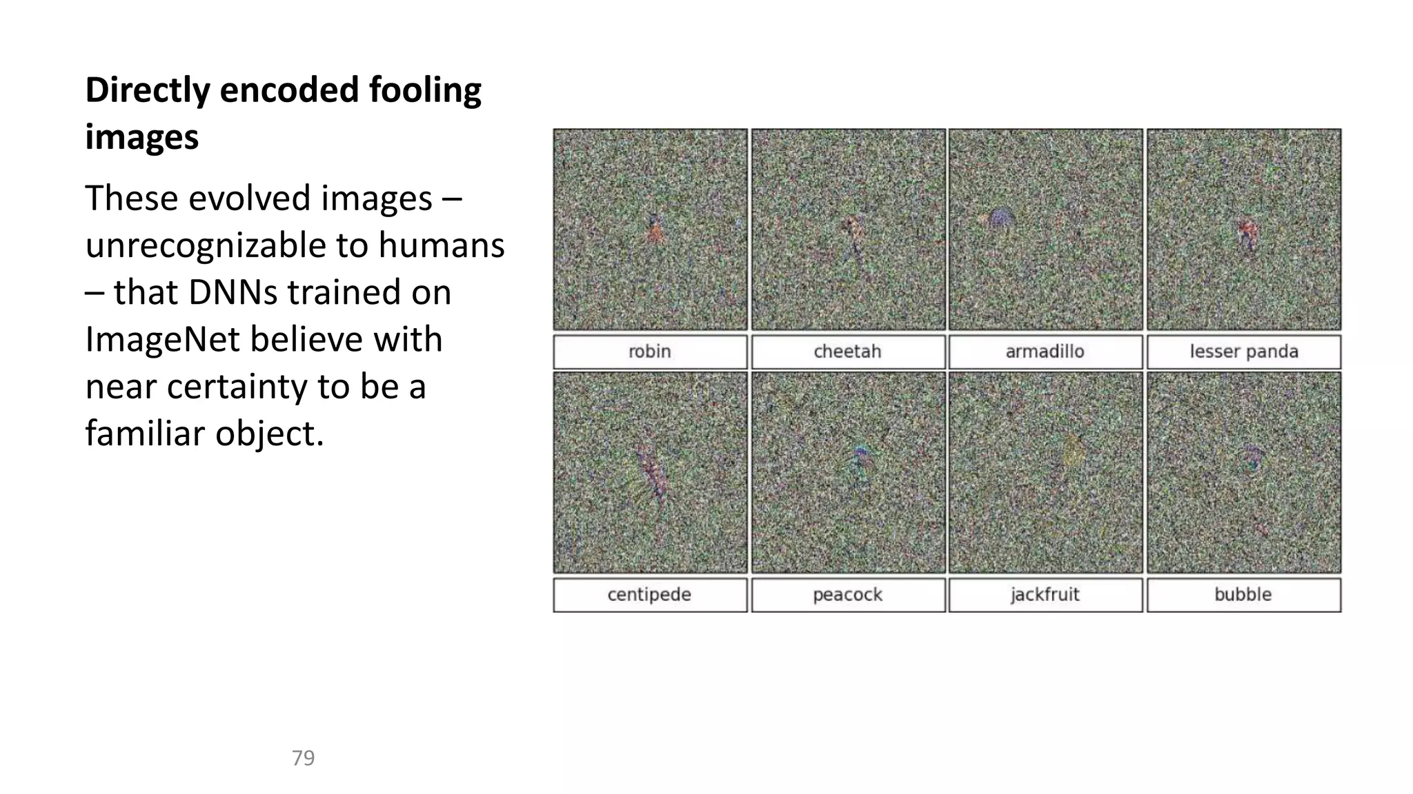 Directly encoded fooling
images
These evolved images –
unrecognizable to humans
– that DNNs trained on
ImageNet believe with
near certainty to be a
familiar object.
79
 