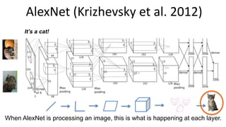 AlexNet (Krizhevsky et al. 2012)
When AlexNet is processing an image, this is what is happening at each layer.
It’s a cat!
 