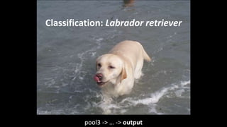 pool3 -> … -> output
Classification: Labrador retriever
 