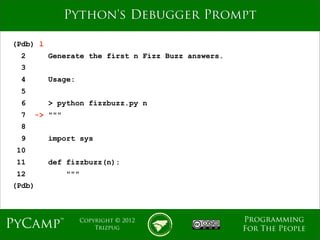 Python Debugging Fundamentals | PDF