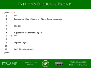 Python Debugging Fundamentals | PDF