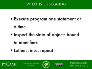 Python Debugging Fundamentals | PDF