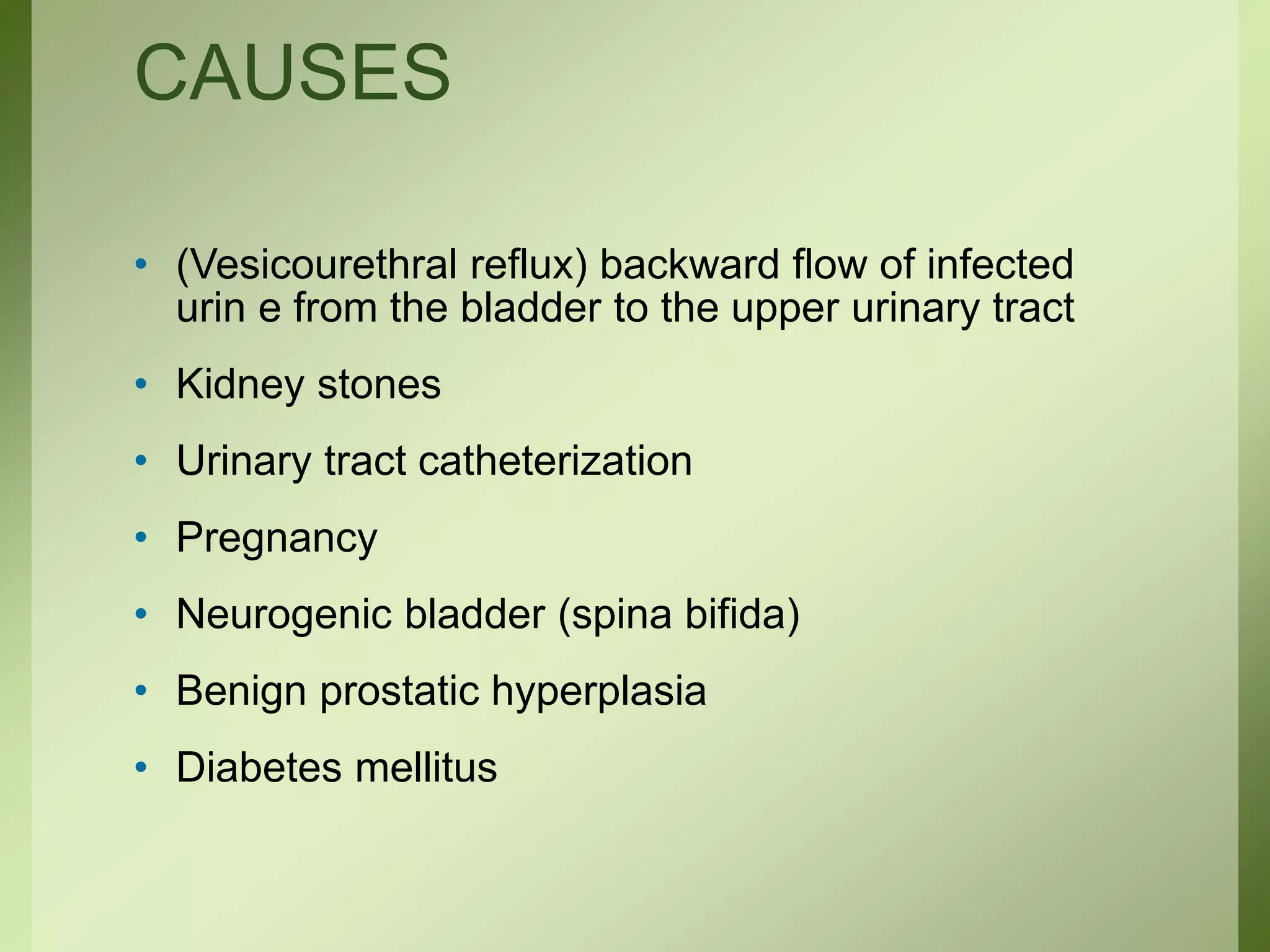 CAUSES
• (Vesicourethral reflux) backward flow of infected
urin e from the bladder to the upper urinary tract
• Kidney stones
• Urinary tract catheterization
• Pregnancy
• Neurogenic bladder (spina bifida)
• Benign prostatic hyperplasia
• Diabetes mellitus
 