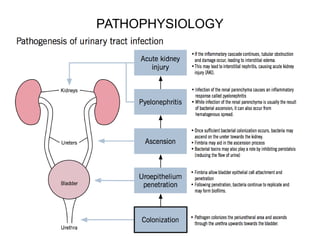 PATHOPHYSIOLOGY
 