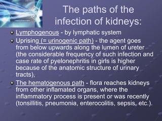 Pyelonephritis pediatric practice 2.ppt