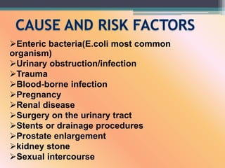 Enteric bacteria(E.coli most common
organism)
Urinary obstruction/infection
Trauma
Blood-borne infection
Pregnancy
Renal disease
Surgery on the urinary tract
Stents or drainage procedures
Prostate enlargement
kidney stone
Sexual intercourse
 