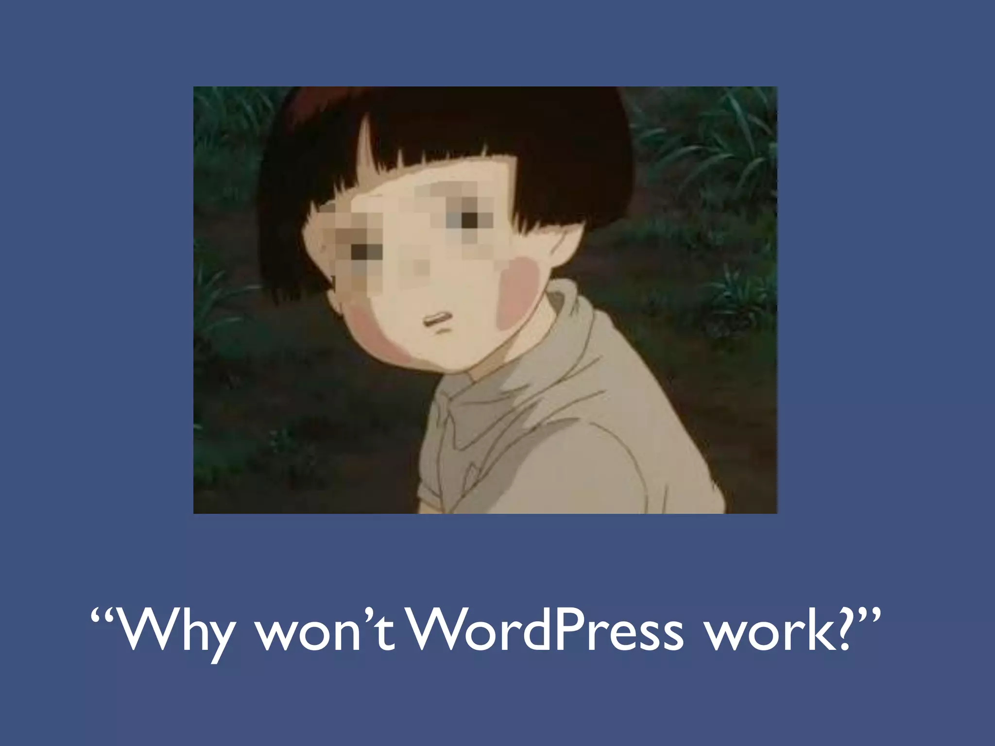 “Why won’t WordPress work?”
 