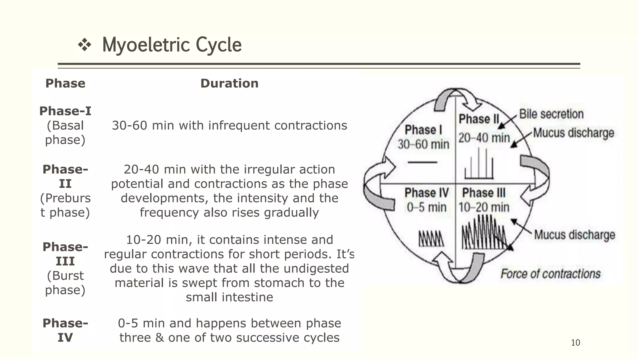 1/26/2018 1010
Phase Duration
Phase-I
(Basal
phase)
30-60 min with infrequent contractions
Phase-
II
(Preburs
t phase)
20-40 min with the irregular action
potential and contractions as the phase
developments, the intensity and the
frequency also rises gradually
Phase-
III
(Burst
phase)
10-20 min, it contains intense and
regular contractions for short periods. It’s
due to this wave that all the undigested
material is swept from stomach to the
small intestine
Phase-
IV
0-5 min and happens between phase
three & one of two successive cycles
 Myoeletric Cycle
 