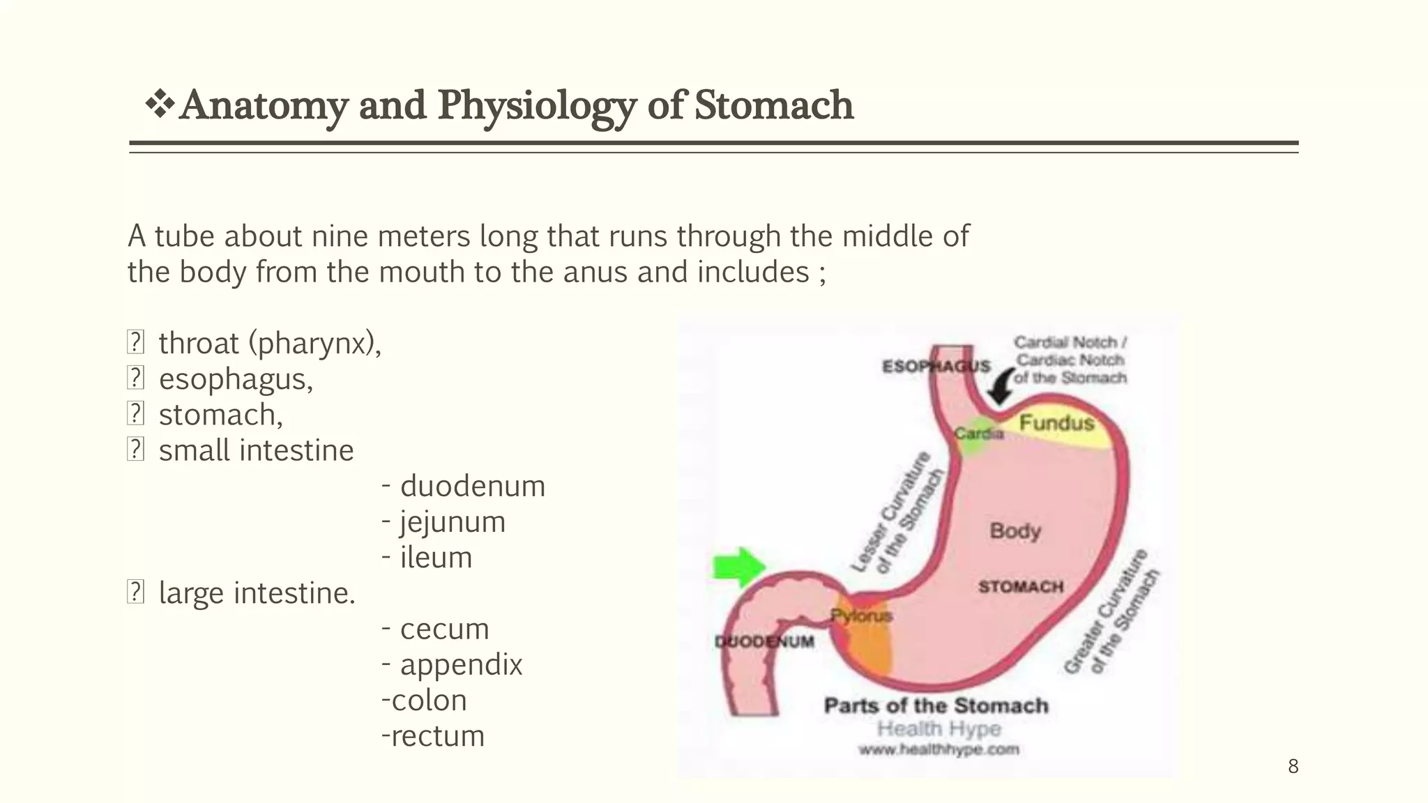 Anatomy and Physiology of Stomach
8
A tube about nine meters long that runs through the middle of
the body from the mouth to the anus and includes ;
throat (pharynx),
esophagus,
stomach,
small intestine
- duodenum
- jejunum
- ileum
large intestine.
- cecum
- appendix
-colon
-rectum
 
