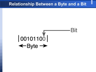 Relationship Between a Byte and a Bit
 