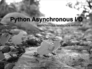19 Dec 2013
@lukmdo

Python Asynchronous I/O
asynchronous landscape refresher

Photo by Jake Brown used under CC BY 2.0/“Mono+Balance”

 