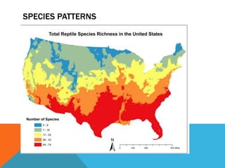 SPECIES PATTERNS
 
