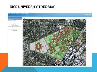 RICE UNIVERSITY TREE MAP
 