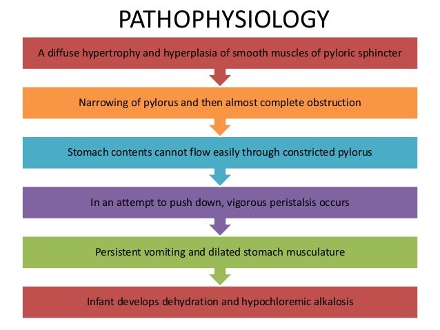 Pyloric Stenosis Child Health Nursing