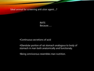 Ideal animal for screening anti ulcer agent….?
RATS
Because……
•Continuous secretions of acid
•Glandular portion of rat stomach analogous to body of
stomach in man both anatomically and functionaly.
•Being omnivorous resembles man nutrition.
 