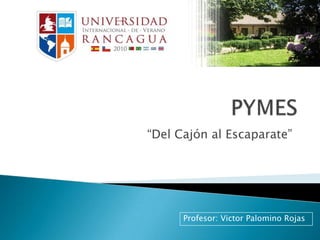 PYMES “Del Cajón al Escaparate” Profesor: Victor Palomino Rojas 