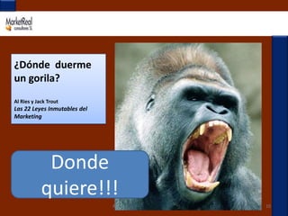¿Dónde  duerme un gorila?Al Ries y Jack TroutLas 22 Leyes Inmutables del MarketingProfesora: Isabel Iniesta Alemán10Donde quiere!!!