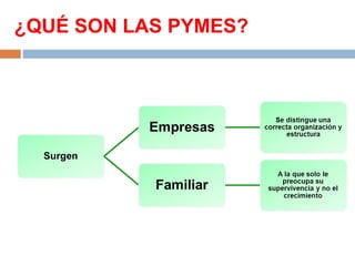 ¿QUÉ SON LAS PYMES?
 