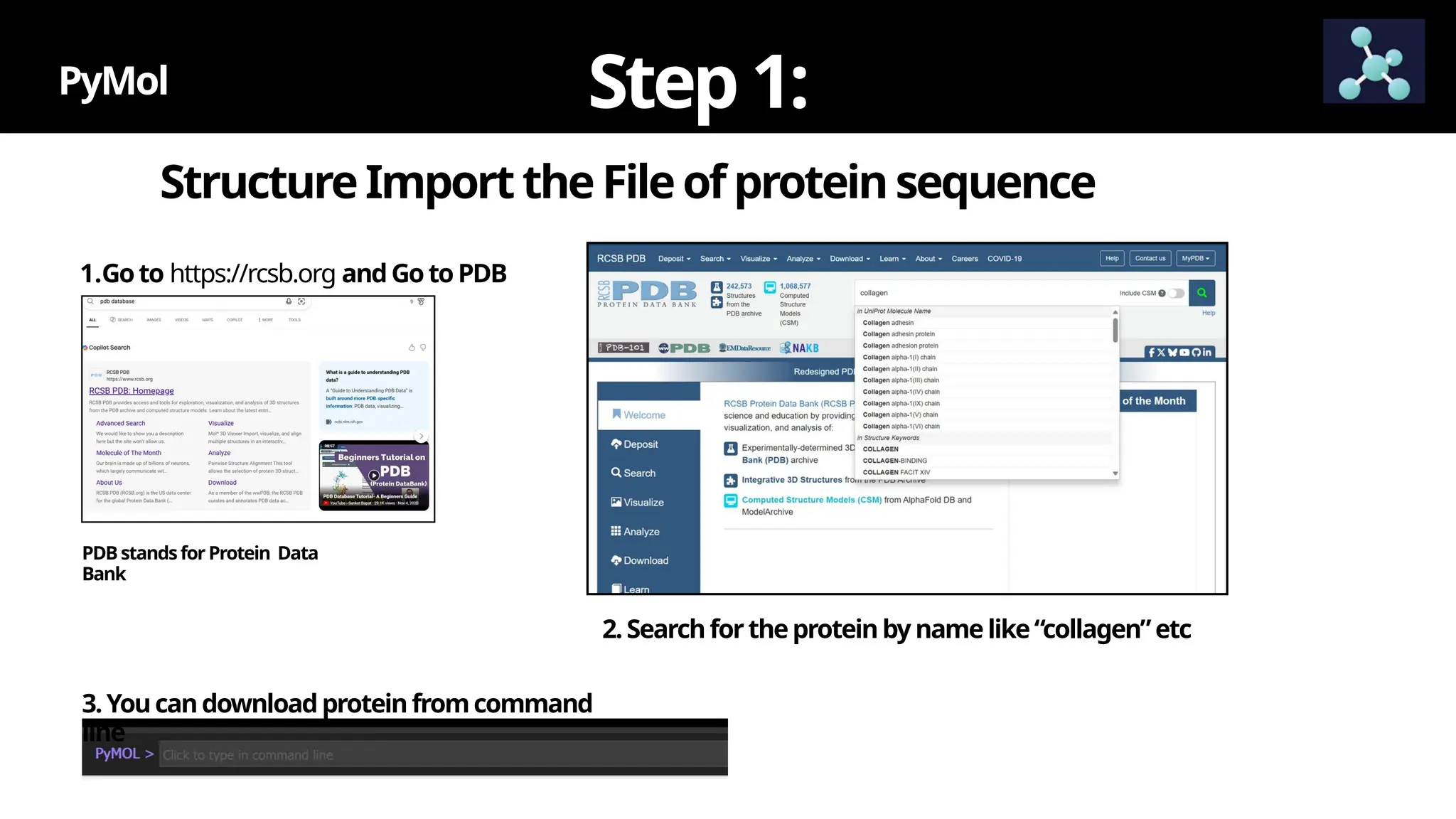 StructureImporttheFileofproteinsequence
PyMol Step1:
1.Goto https://rcsb.org andGotoPDB
PDBstandsfor Protein Data
Bank
2.Searchfortheproteinby namelike“collagen”etc
3.Youcandownloadproteinfromcommand
line
 